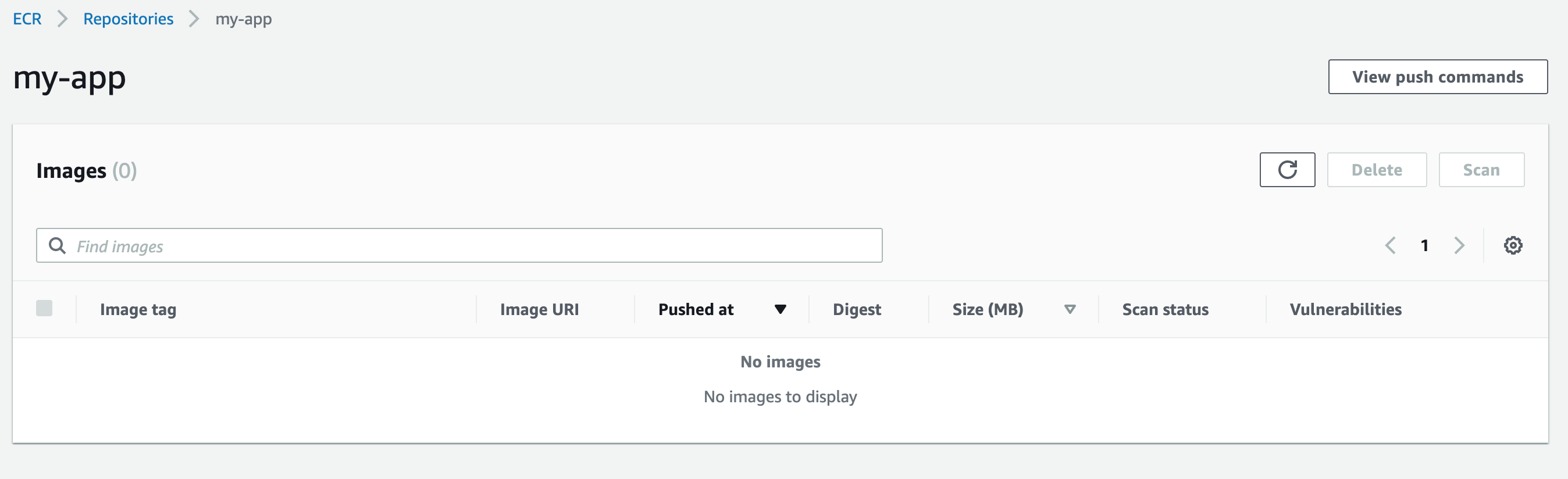 The View push commands button in the AWS console